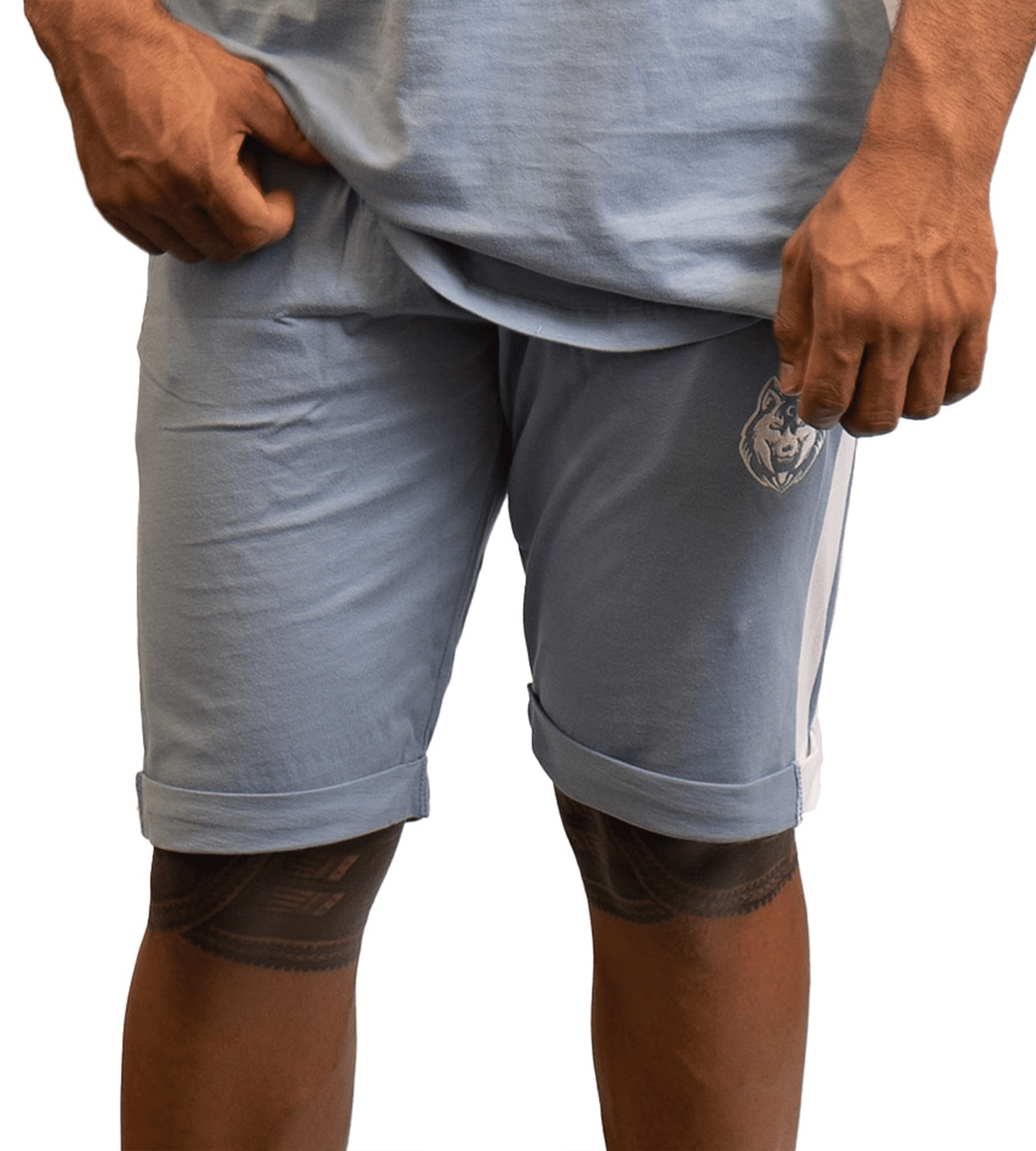 Fitnessfox UNISEX Gym Shorts (Blue)