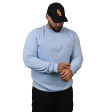 Stylish light blue embossed crew neck sweater by Fitness Fox for everyday comfort