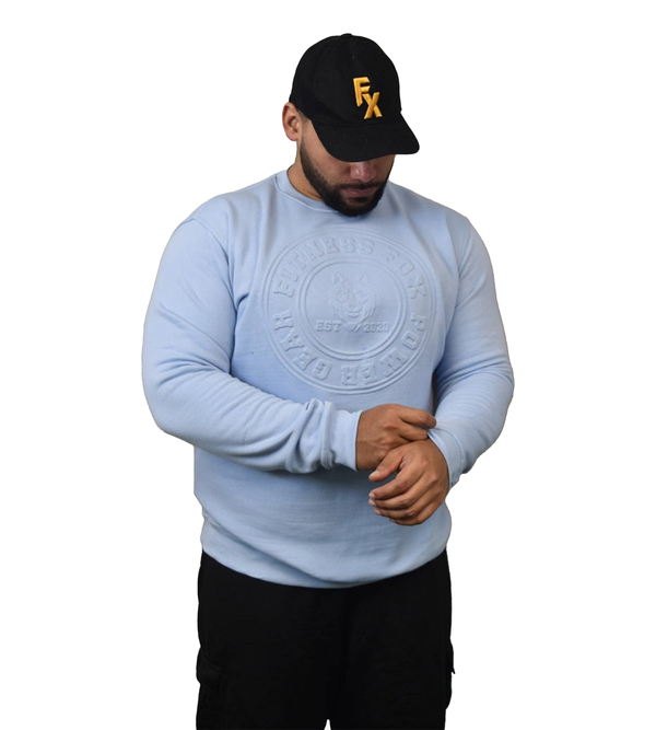 FITNESS FOX Embossed Crew Neck SWEATER- Light Blue
