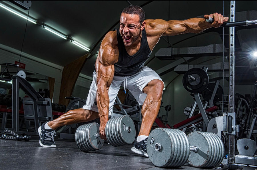 STRENGTH & RECOVERY STACK